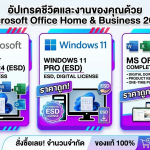 Microsoft Office Home & Business 2024 (ESD)