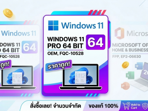 WINDOWS 11 PRO 64 BIT (OEM,FQC-10528)