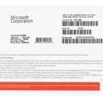 WINDOWS 11 PRO 64 BIT (OEM,FQC-10528)