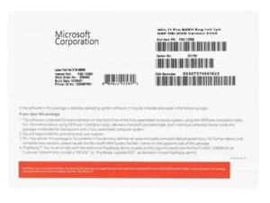 WINDOWS 11 PRO 64 BIT (OEM,FQC-10528)