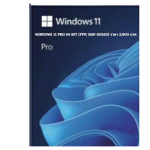 WINDOWS 11 PRO 64 BIT (FPP, HAV-00163)