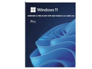 WINDOWS 11 PRO 64 BIT (FPP, HAV-00163)